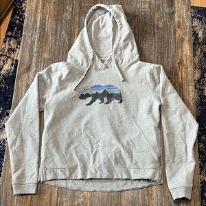 Patagonia Gray Hoodie with Mountain Graphic and Side Pockets